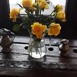 Отель Gemmi *